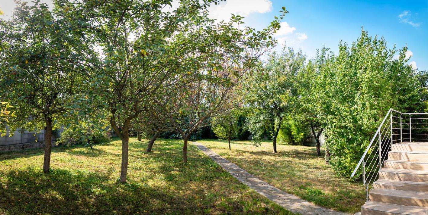 Residence Artemis Paris Orly Aeroport Villeneuve-le-Roi Buitenkant foto
